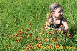 IMG_0244
