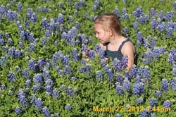 IMG_0245