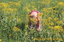 IMG_0248