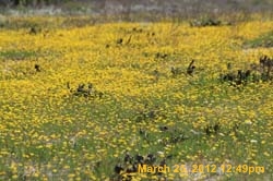 IMG_0284