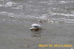 IMG_0293
