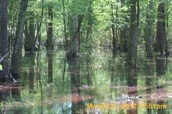 IMG_0301