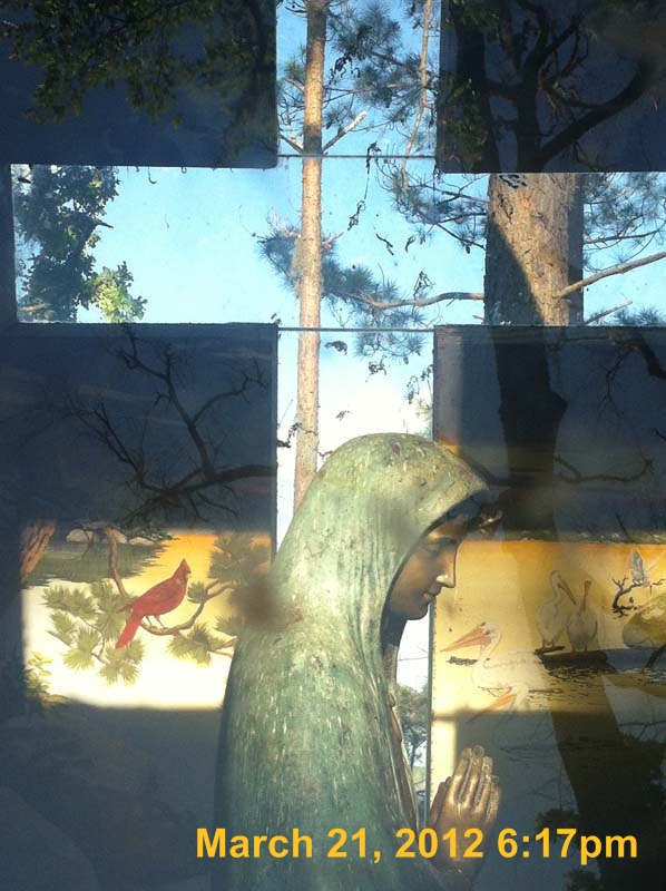 IMG_1523