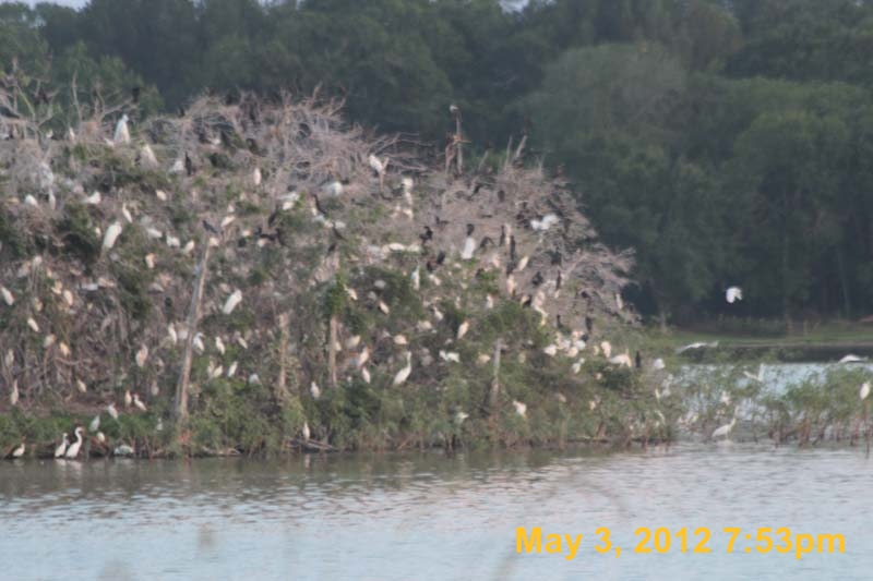 IMG_0767