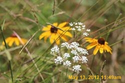 IMG_0844