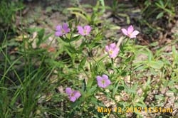 IMG_0846