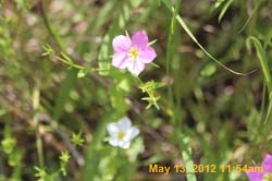 IMG_0850