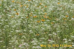 IMG_0853