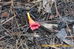 IMG_0876
