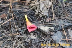 IMG_0877