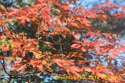 IMG_1654