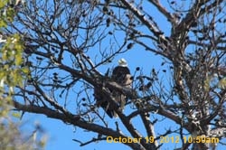 IMG_1481