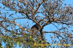 IMG_1377