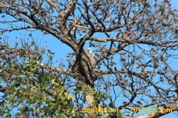 IMG_1378