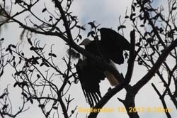 IMG_1401