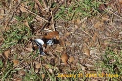 IMG_5065