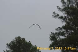 IMG_1911