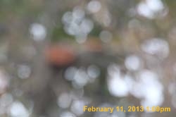 IMG_1912