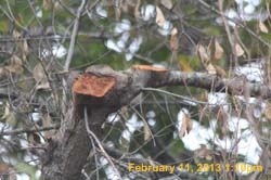 IMG_1913