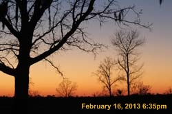 IMG_1923