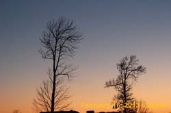 IMG_1926