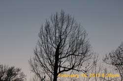 IMG_1931
