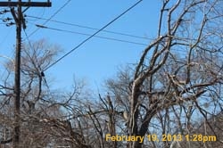 IMG_1947