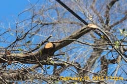 IMG_1961