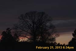 IMG_1974