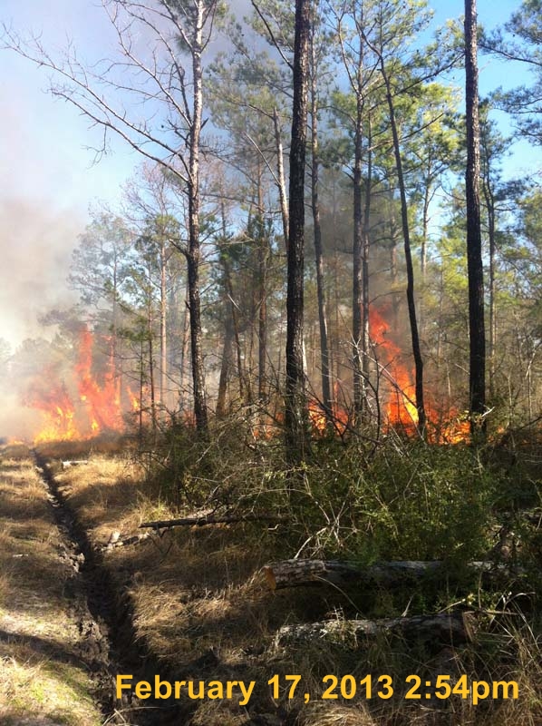 IMG_3856