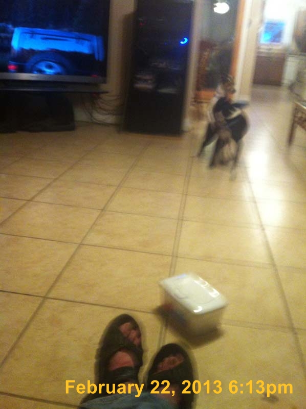 IMG_3902