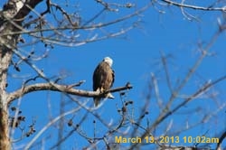 IMG_2045