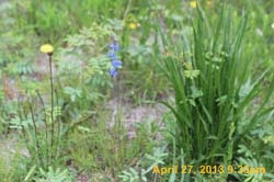 IMG_2141