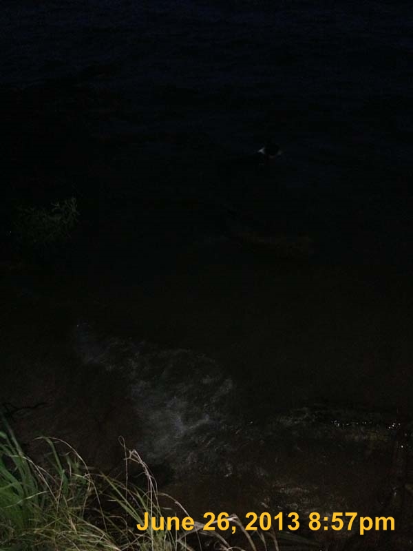 IMG_0459