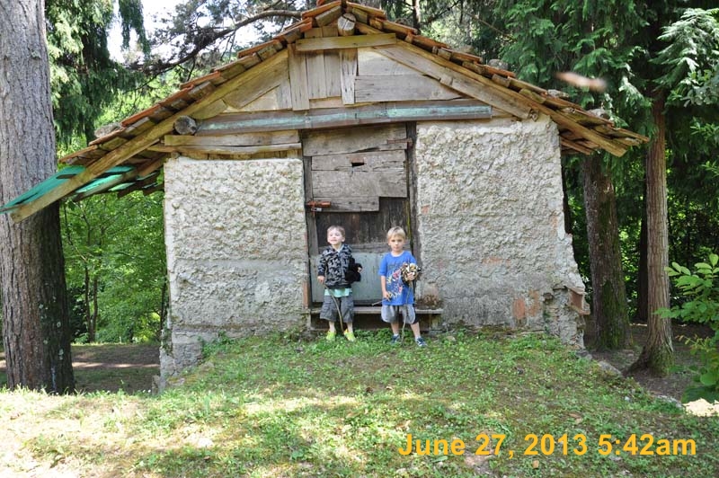 DSC_0309