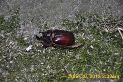 DSC_0638