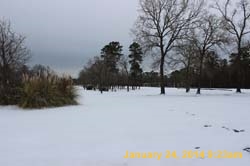 IMG_8426