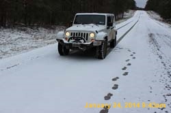 IMG_8450