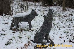 IMG_8472
