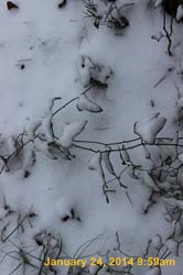 IMG_8484