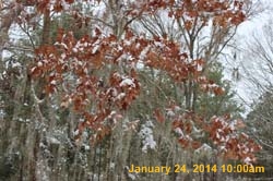 IMG_8487