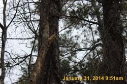 IMG_8563