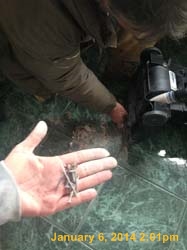 IMG_2824