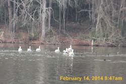 IMG_2613