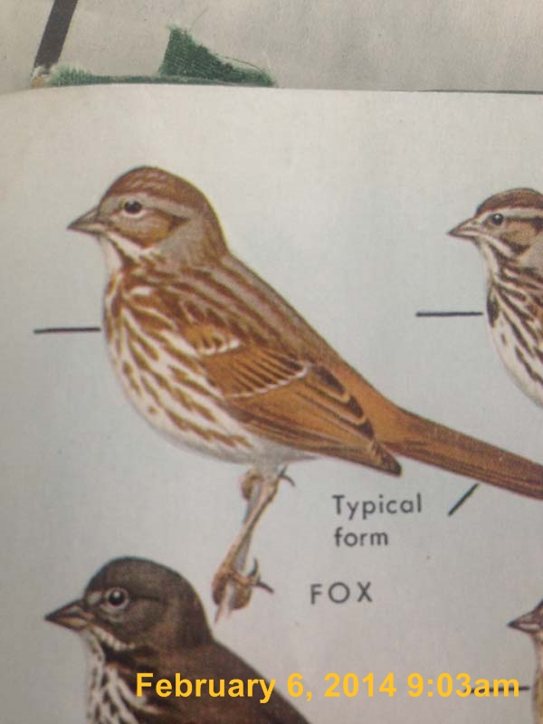 IMG_3217