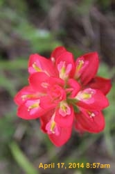IMG_8886