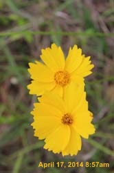 IMG_8888