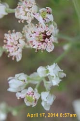 IMG_8889