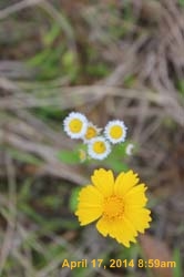 IMG_8892