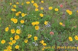 IMG_8897